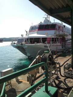 o0240032010998015612.jpg